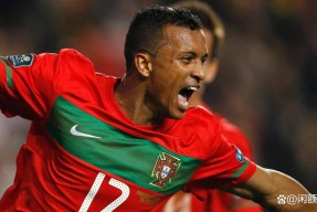 蜂鸟网站 -王晓晨泳装照引发的讨论