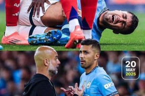 蜂鸟官网入口 -进入临战状态做好实战准备决战姿态