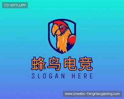 蜂鸟电竞官网 - 中国顶级电竞平台-官方网站-fengniao